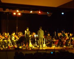 Μ.Σ. Αλίμου-Κατσαρίδα-συναυλία στο ΜΣΘ Μ.Σ. Αλίμου-Κατσαρίδα-συναυλία στο ΜΣΘ