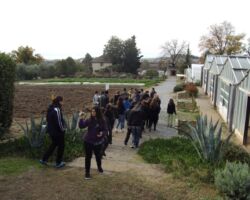 Το Σύνολο "Μουσικές του κόσμου" στην Αμερικάνικη Γεωργική Σχολή Το Σύνολο "Μουσικές του κόσμου" στην Αμερικάνικη Γεωργική Σχολή