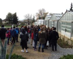 Το Σύνολο "Μουσικές του κόσμου" στην Αμερικάνικη Γεωργική Σχολή Το Σύνολο "Μουσικές του κόσμου" στην Αμερικάνικη Γεωργική Σχολή