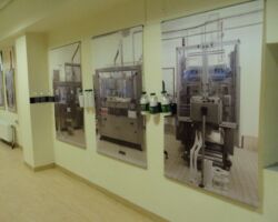 Το Σύνολο "Μουσικές του κόσμου" στην Αμερικάνικη Γεωργική Σχολή Το Σύνολο "Μουσικές του κόσμου" στην Αμερικάνικη Γεωργική Σχολή