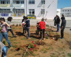 Ομάδα πρασίνου Ομάδα πρασίνου