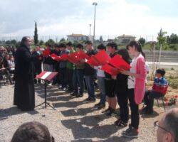 Ομάδα πρασίνου Ομάδα πρασίνου